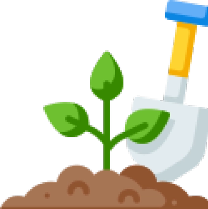 Trees planted